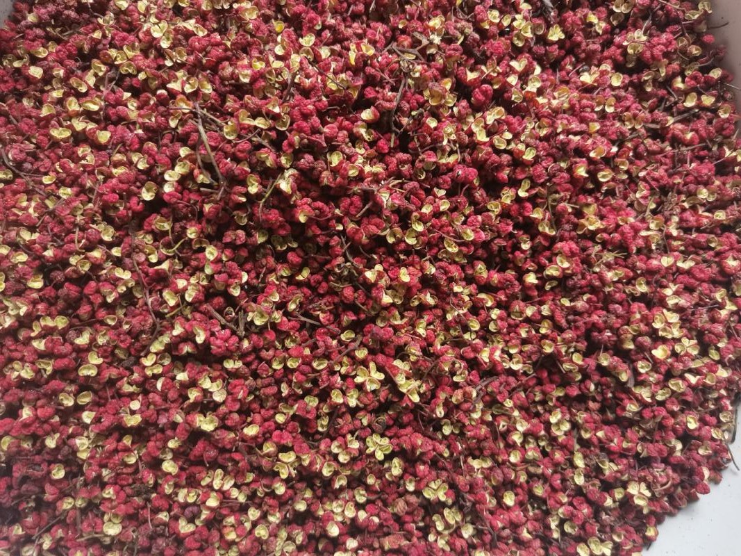 1761358146111348.jpeg 1761358146111348.jpeg